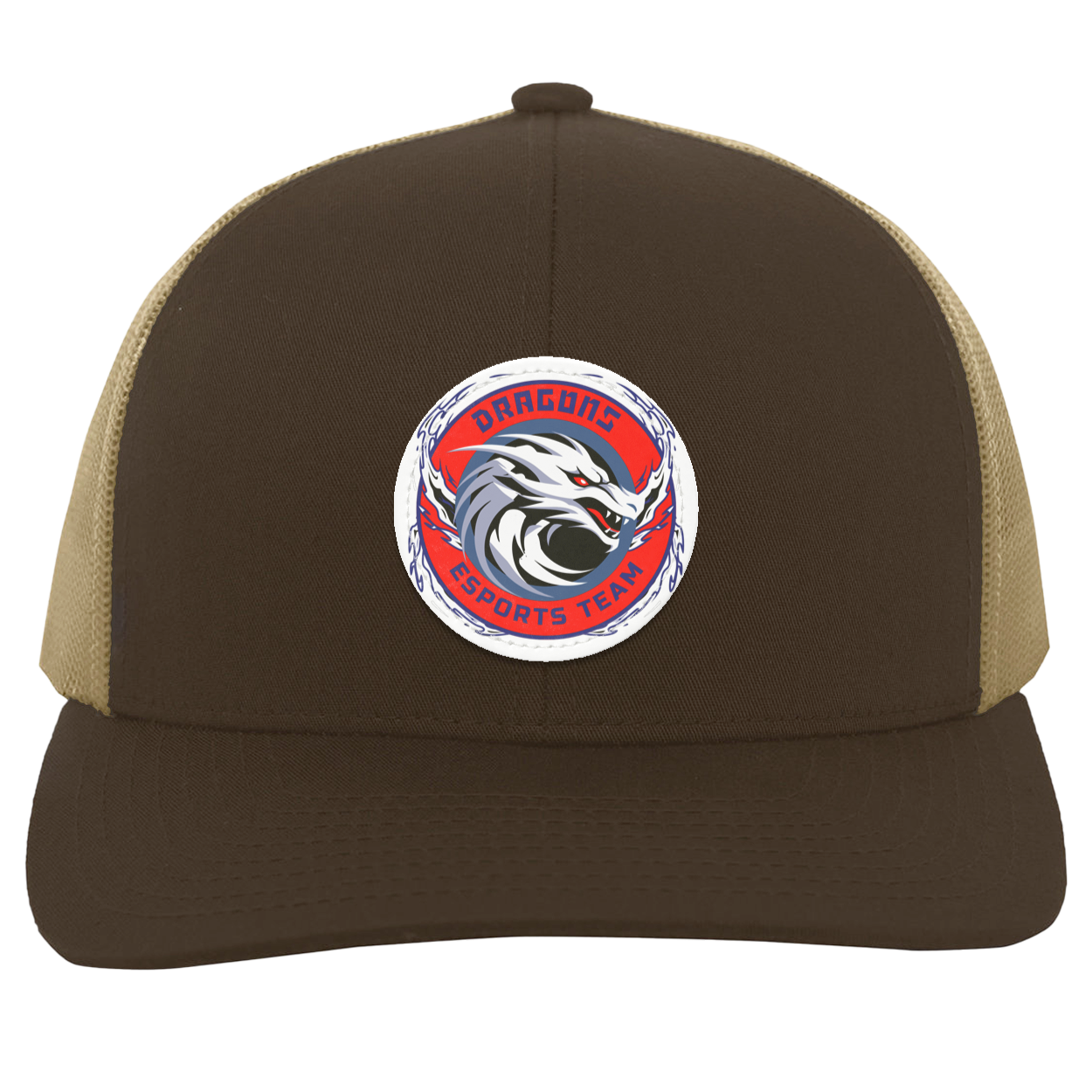 Dragons Trucker Snap Back - Patch