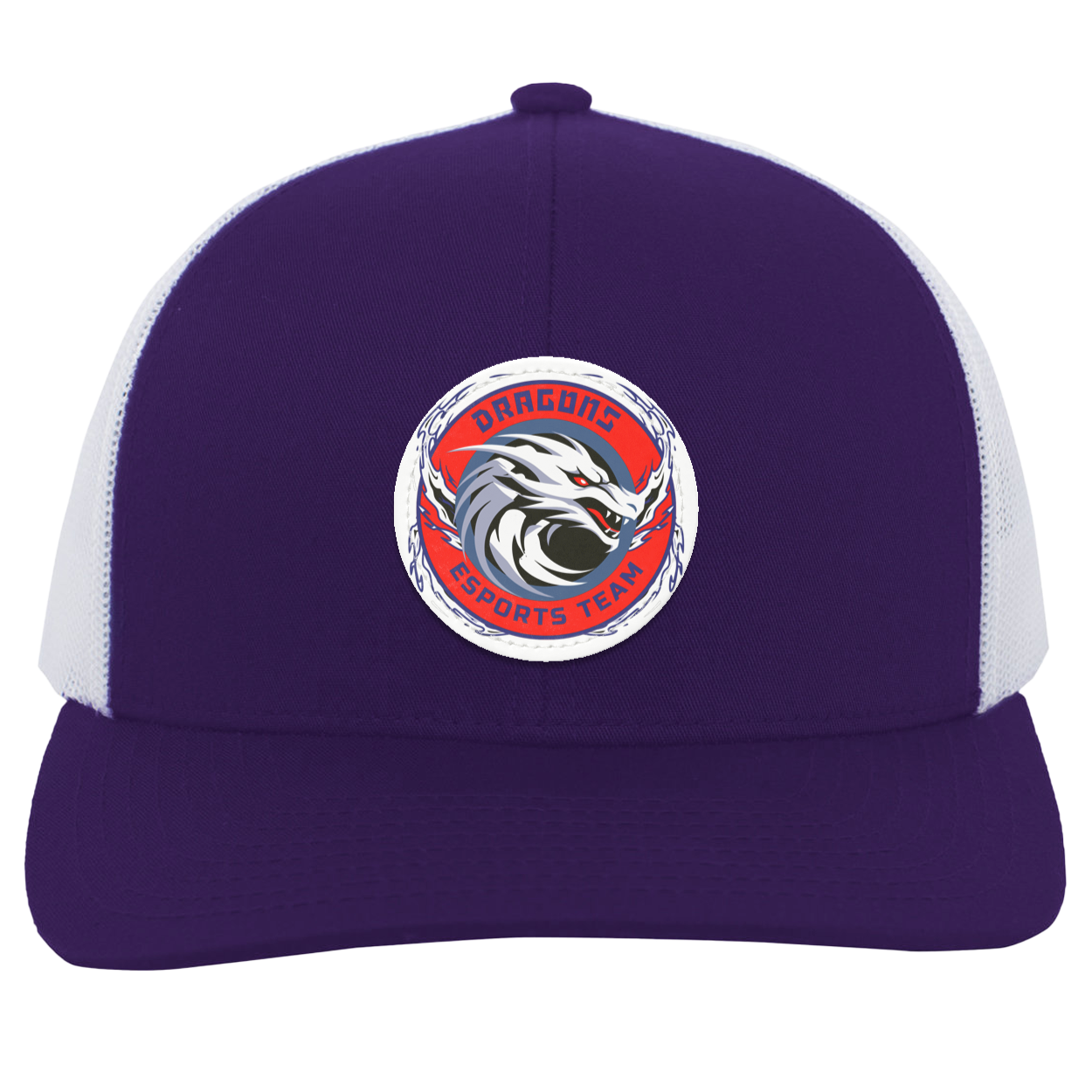 Dragons Trucker Snap Back - Patch