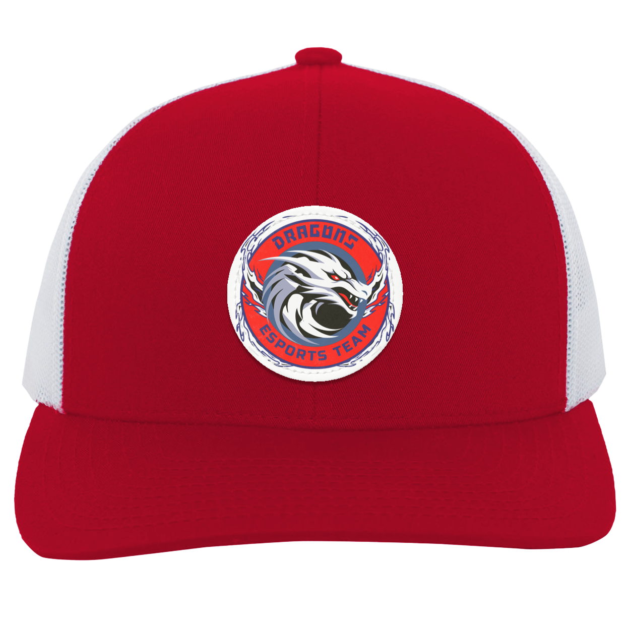 Dragons Trucker Snap Back - Patch