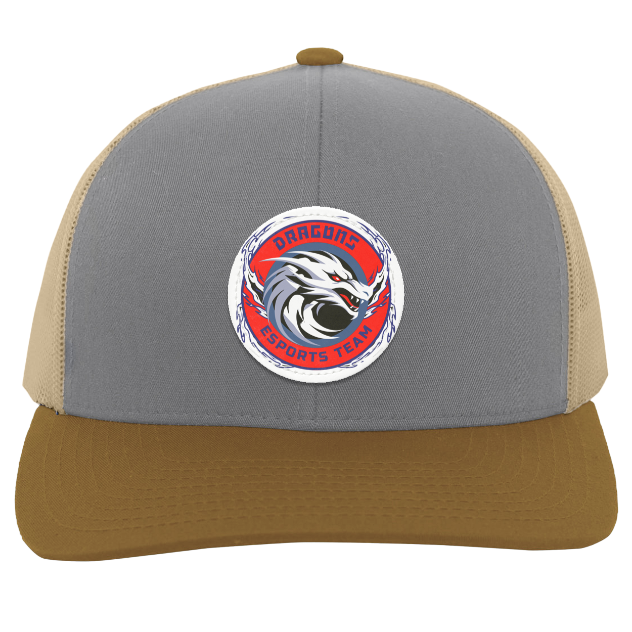 Dragons Trucker Snap Back - Patch