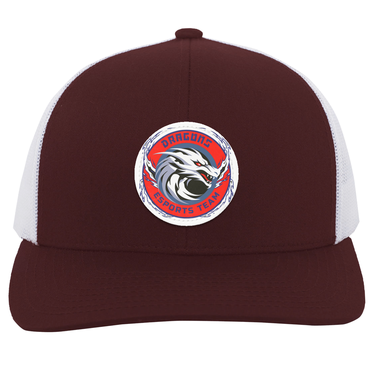 Dragons Trucker Snap Back - Patch